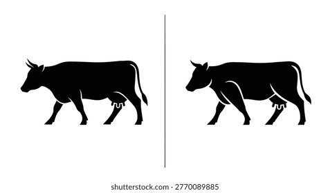 Two black cows walking in unison