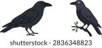 Two black crow illustrations, one standing and one perched on a branch, isolated on a white background in a clean vector style.