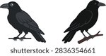 Two black crow illustrations perched on branches, isolated bird vector artwork in a clean cartoon style.
