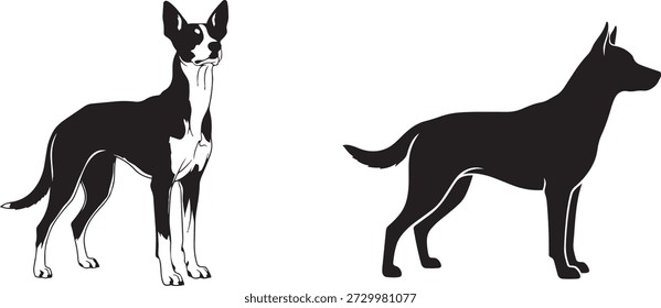 Dois cães pretos com marcas brancas são ilustrados lado a lado em um fundo branco, mostrando suas características distintas e características da raça em um design gráfico simples e moderno.