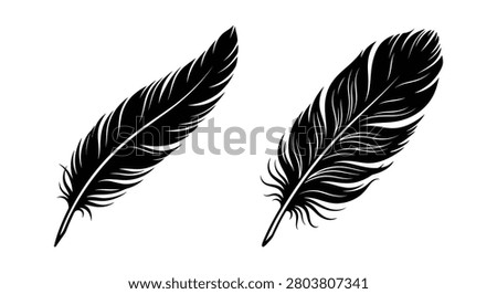 Two black feather silhouettes against a white background detailed quill shapes in a graphic style silhouette feathers plume