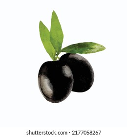 Two black fresh olives and green leaves isolated on white background. Realistic vector illustration. Graphic, colored hand-drawn sketch. Imitation of watercolor painting. Clip art.