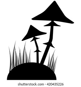 two black magic mushroom on a hill in grass