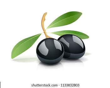 Dos aceitunas negras con hoja. Aceite producto vegetariano natural. Ingrediente alimenticio saludable. fruta italiana. Fondo blanco aislado. Ilustración vectorial EPS10.