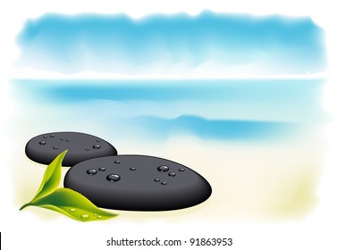 Two black pebbles with fresh leaf. Vector illustration.
