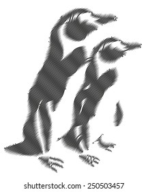 Two black penguins made with line, illustration isolated on white