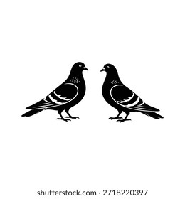 Dois pombos pretos virados um para o outro no fundo branco pomba pássaro