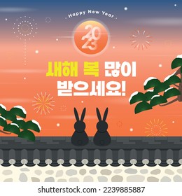 Two Black Rabbits Celebrating New Year 2023(korean, written as Happy New Year!)