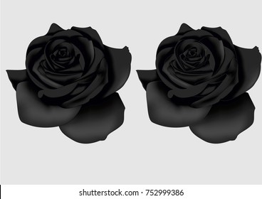 Two Black Roses