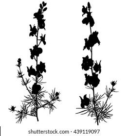 Two black silhouette of plants. Sprigs of wild flowers on a white background. Meadow bouquet.