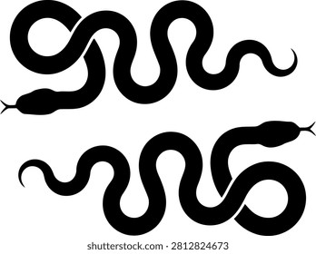 Two black snakes on white background side by side reptiles animals