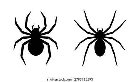 Two Black Spiders Depicted As Silhouettes Against A White Background Silhouette spider arachnid arachnids insect