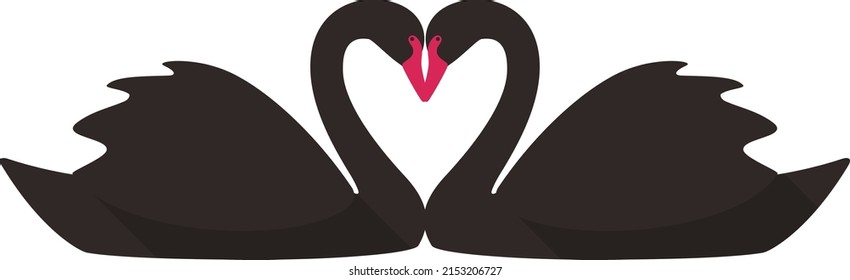 two black swans face to face swimming, vector illustration