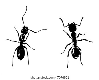 Ants Clip Art Images, Stock Photos & Vectors | Shutterstock