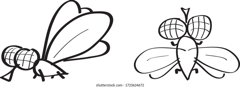 two black and white flies deliberately painted childishly