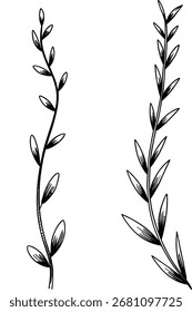 Dos ilustraciones de arte de línea en blanco y negro de ramas botánicas con hojas.