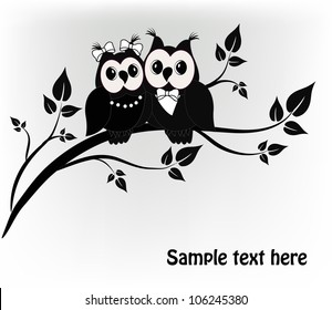 Two black and white on a black owl tree