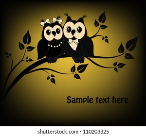 Two black and white on a black owl tree