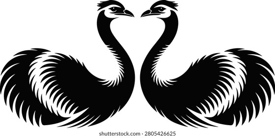 Two black and white ostriches facing each other in profile view birds