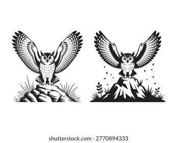 Two black and white of owls perched on rocks with wings spread