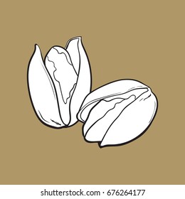 Two black and white pistachio nuts, hand drawn sketch style vector illustration isolated on brown background. Realistic hand drawing of pistachio nuts, vegetarian snack