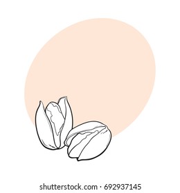 Two black and white pistachio nuts, hand drawn sketch style vector illustration with space for text. Realistic hand drawing of pistachio nuts, vegetarian snack