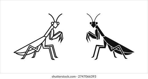 Two black and white praying mantis in profile insect