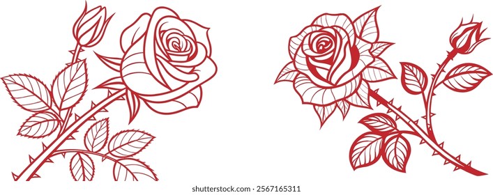 two black and white rose