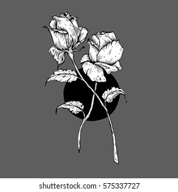 Two black and white vector roses with a circle behind them on a gray background.