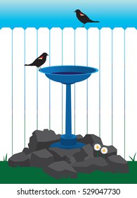 Two blackbirds enjoying a backyard bird bath