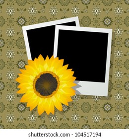 Two blank photo frames with a sunflower , abstract art