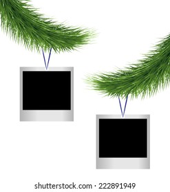 Two blank photoframes hanging on green pine branches isolated on white background
