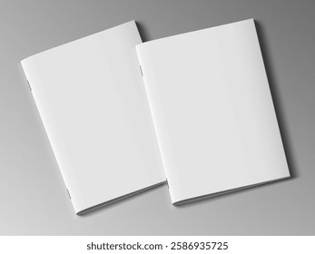 Two Blank Realistic Brochure Or Magazine With Shadow. EPS10 Vector