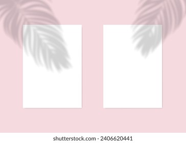 Two blank sheets mockup and shadow of palm leaves