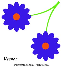 Two blue flower on a white background