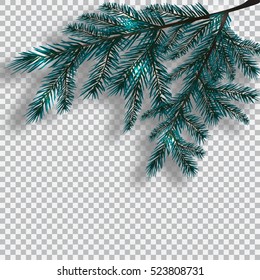 Two blue realistic branch of tree on background checker. Fir branches located in the corner with a shadow. Christmas vector illustration