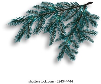 Two blue realistic tree branch. Spruce branches located in the corner. Isolated on white background. Christmas vector illustration