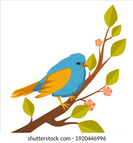 Two blue tits sitting at blossoming