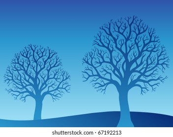 Two blue trees - vector illustration.