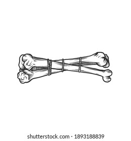Two bones. Can be used as a sketch of a tattoo.