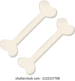 Two bones, illustration, vector on a white background.