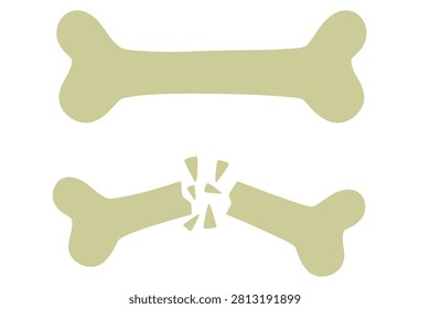 Two bones isolated on a white background. One bone is intact and the other is broken into pieces.