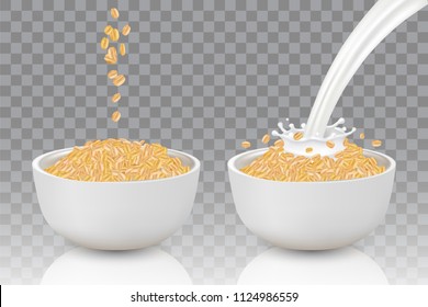 Two bowls of oat flakes and big splash of pouring milk. Two steps of cooking healthy oatmeal. Vector realistic illustration isolated on transparent background.