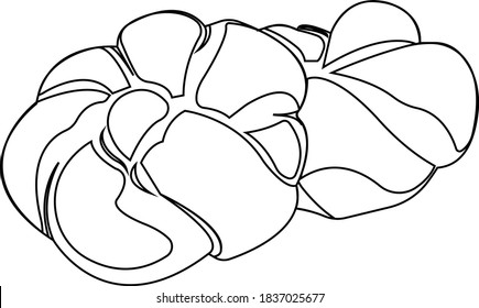 Two braided buns. Contour image of food. Vector illustration isolated on white background.