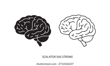 Dos cerebros, uno negro y otro blanco. El cerebro negro es más Grande que el cerebro blanco