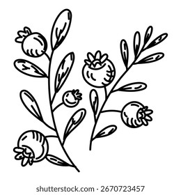 Dos ramas con bayas de arándano, dibujadas a mano. Gráficos, grabado, sombreado. Dibujo en tinta negra, rotulador, liner para diseñar postales. Picnic, turismo, senderismo. Recogiendo bayas. Natural