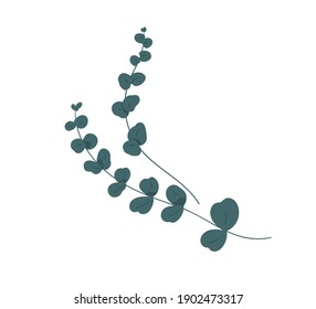 Two branches of eucalyptus isolated on white background. Elegant greenery for decoration. Botanical floral element. Monochrome flat vector illustration