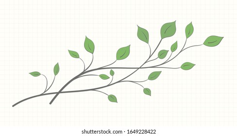 Two branches with green leaves of different shapes on a notebook sheet on a light background