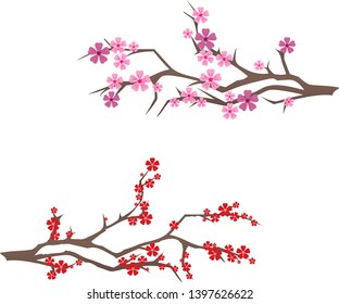 Two branches of Japanese cherry blossoms. Vector illustration