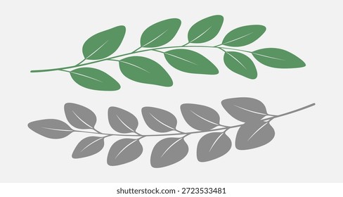 Dos ramas con hojas, una verde y otra gris, sobre fondo blanco.